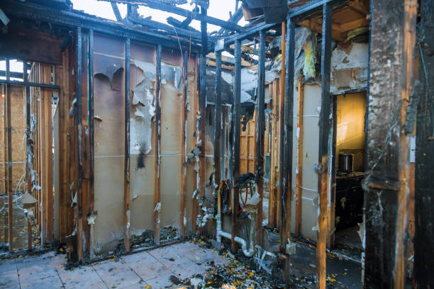 Professional Fire Damage Removal technician working in Edmonton, KY